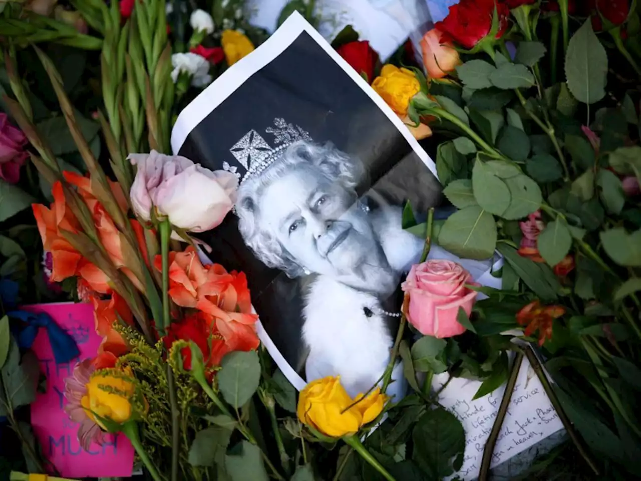 Flamingoes, sandwiches among unusual items left at Queen tribute site in London