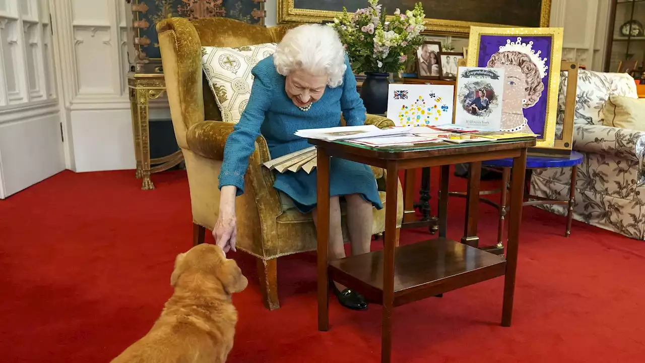 Diese Royals haben die Corgis von Queen Elizabeth II. geerbt