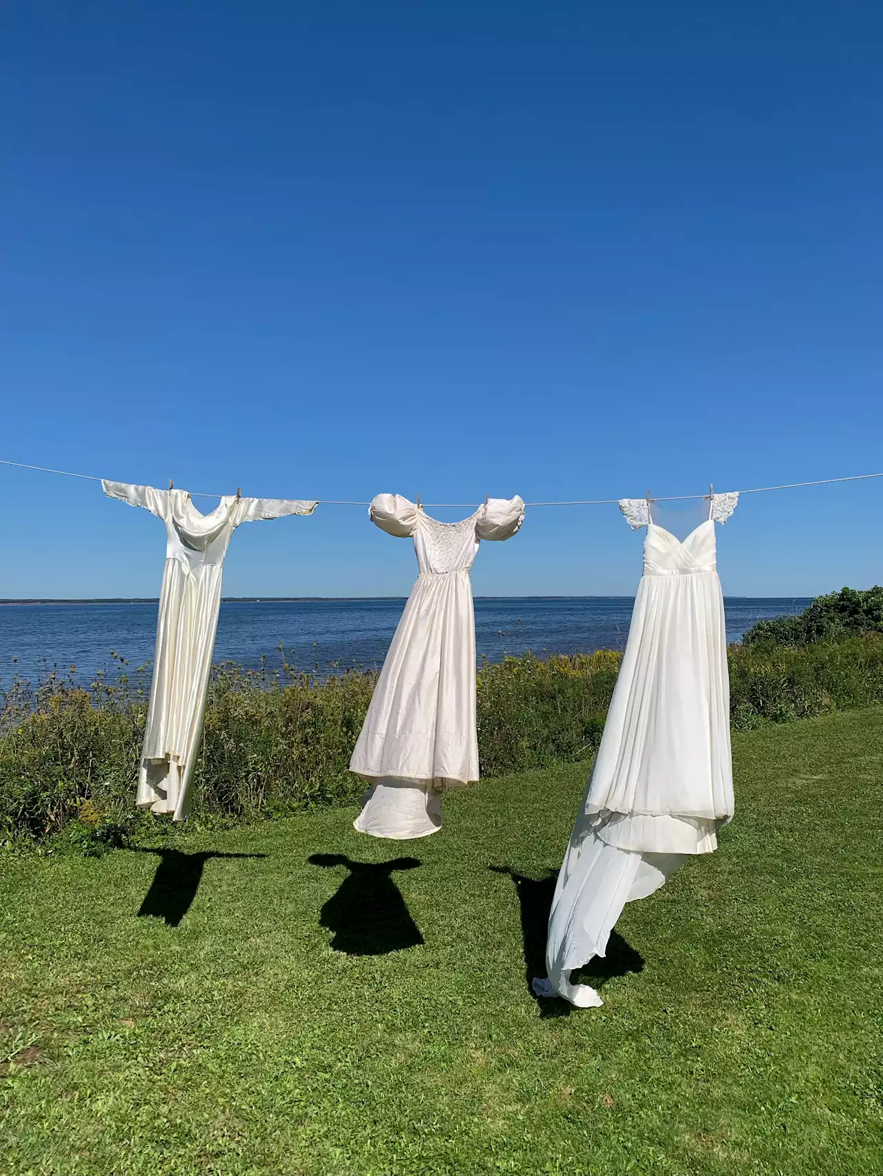 WEATHER PHOTO: 'Ghosts of marriages past' in Seagrove, N.S. | SaltWire