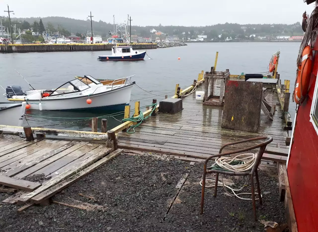 WEATHER PHOTO: Waiting for the weekend fishery in Dildo, N.L. | SaltWire