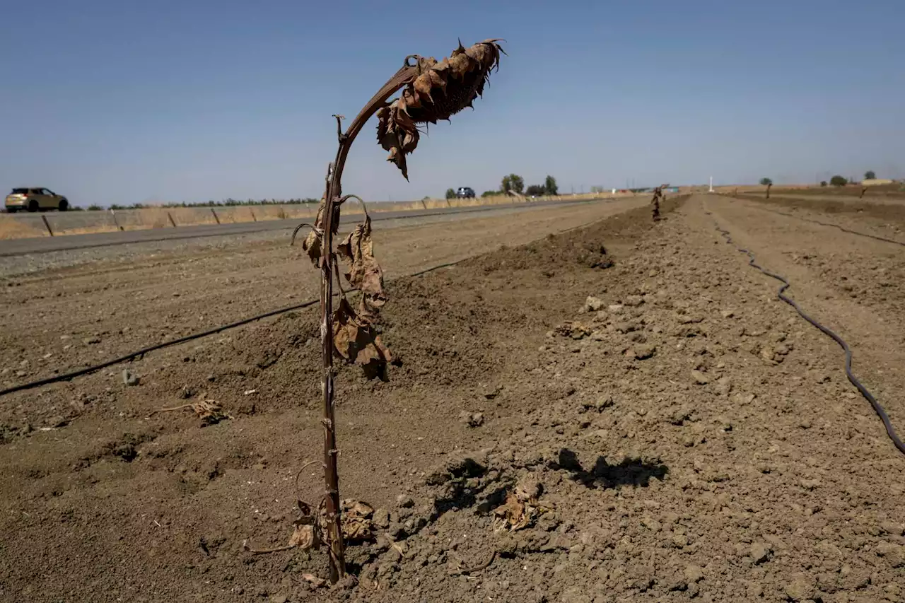 California will soon rank heat waves like hurricanes