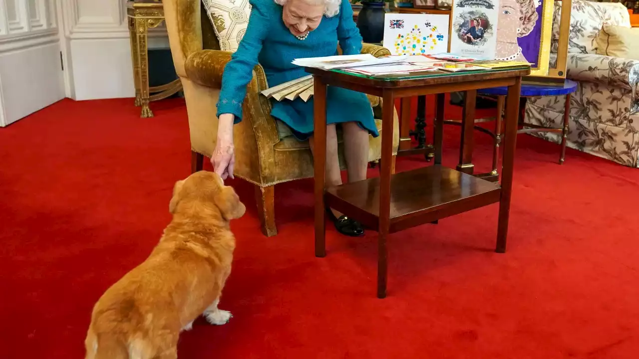 Prince Andrew and Sarah Ferguson will adopt Queen's beloved corgis