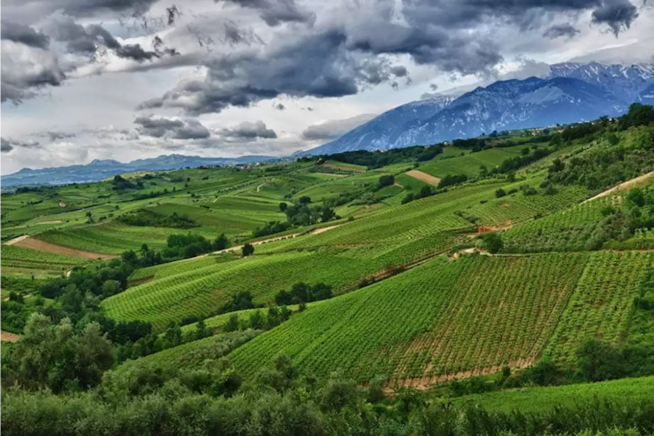 Tenuta Ulisse passa al fondo WhiteBridge. Alla famiglia resta il 30%