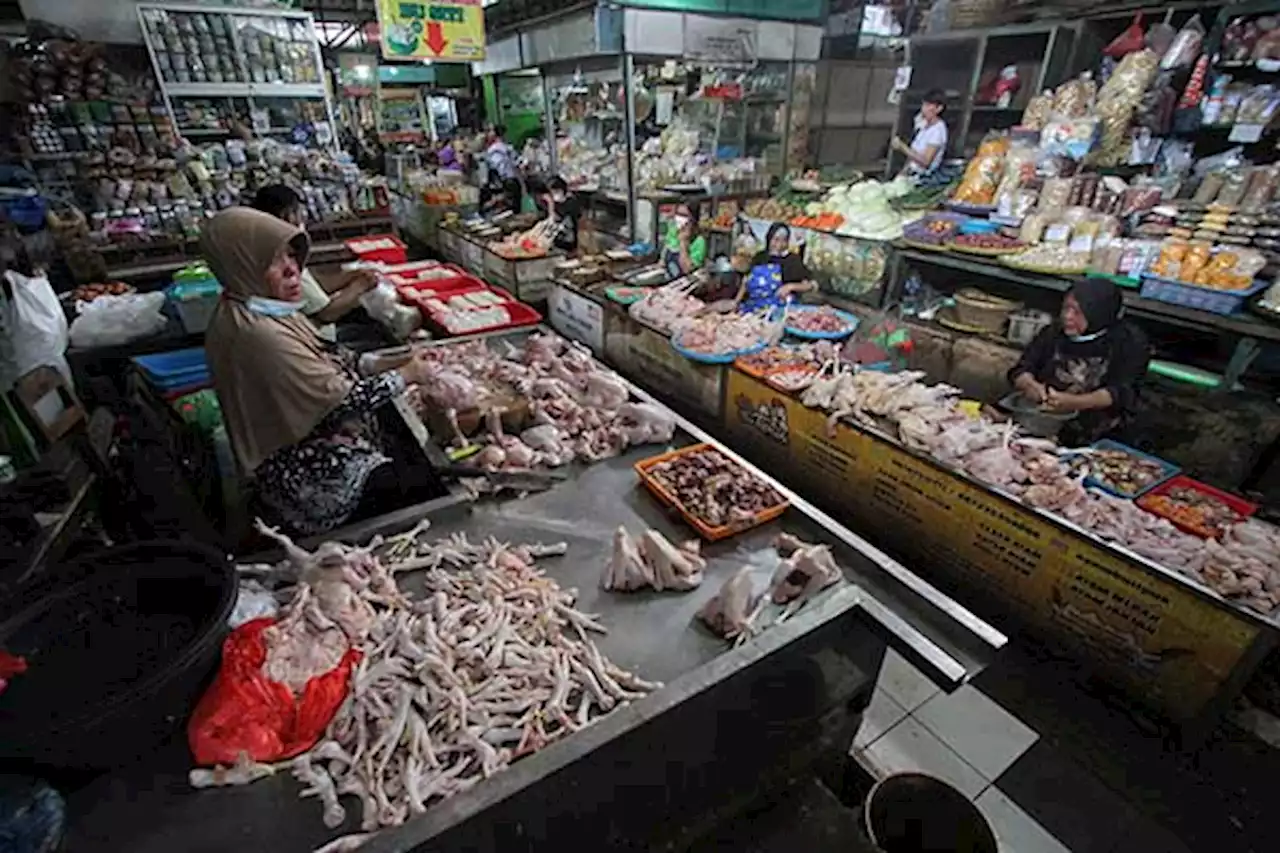 Harga Pangan Cenderung Stabil, Daging Ayam Masih Mahal