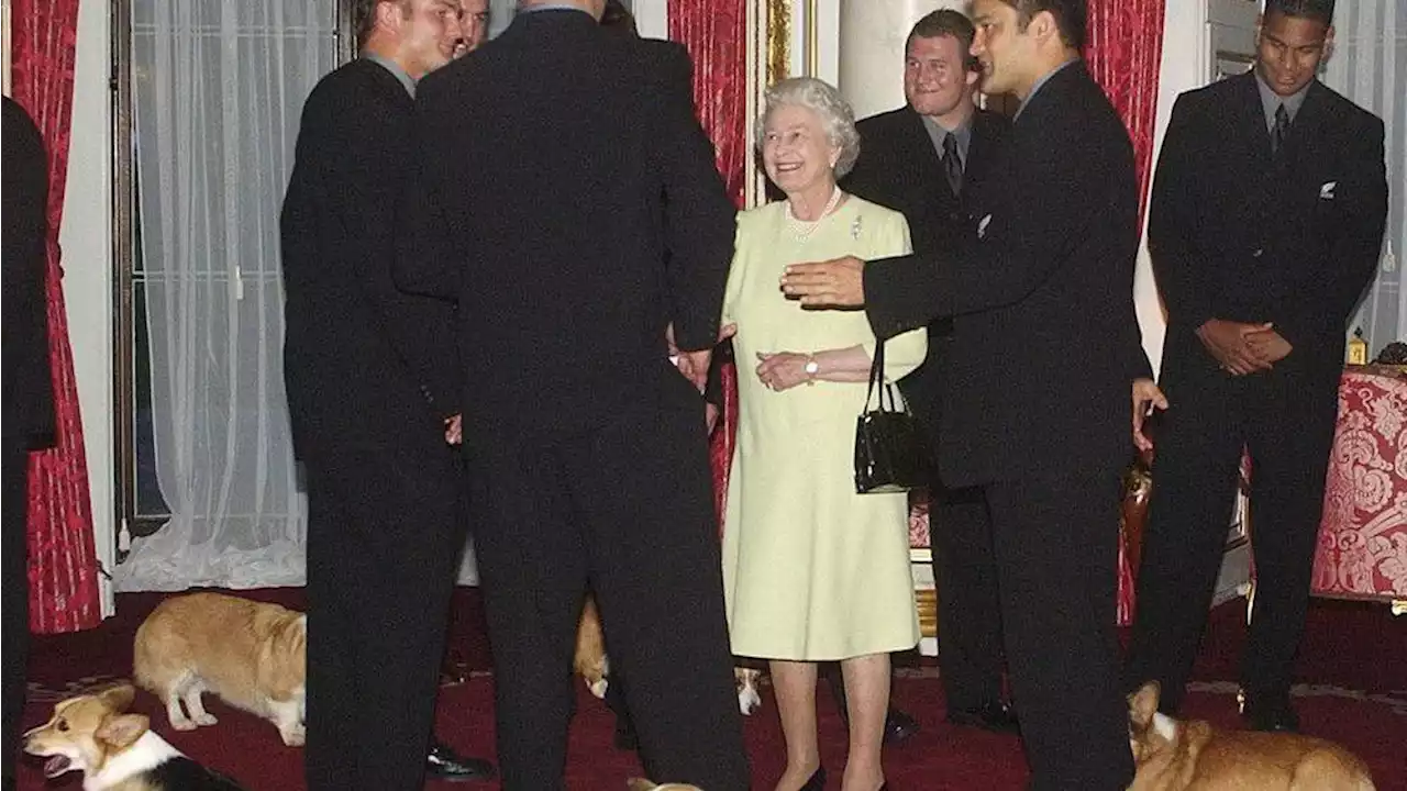 A queen and her corgis: Elizabeth loved breed from childhood