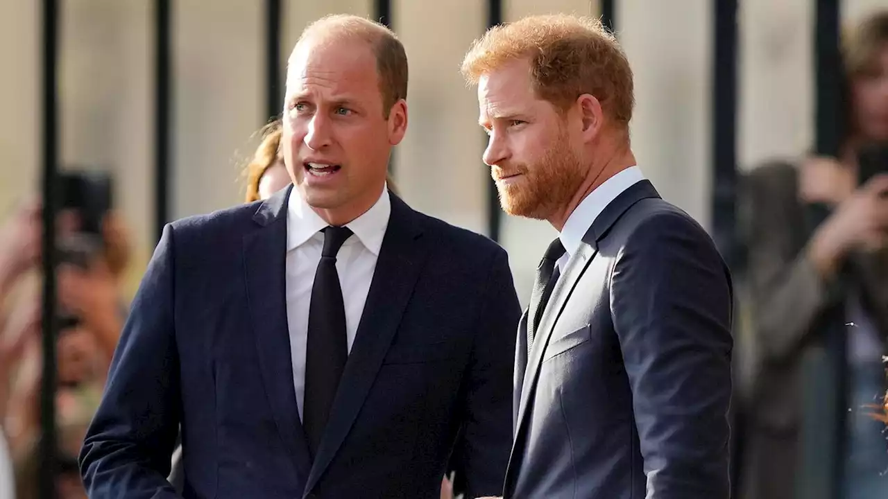 Waffenstillstand: Die Prinzen William und Harry sollen wieder gemeinsam hinter dem Sarg gehen