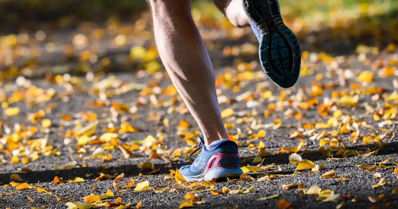 Nahrungsergänzungsmittel: zu teuer und meist unnötig: Sportlicher Erfolg durch Wundermittel? Das Geld kann man sich sparen!