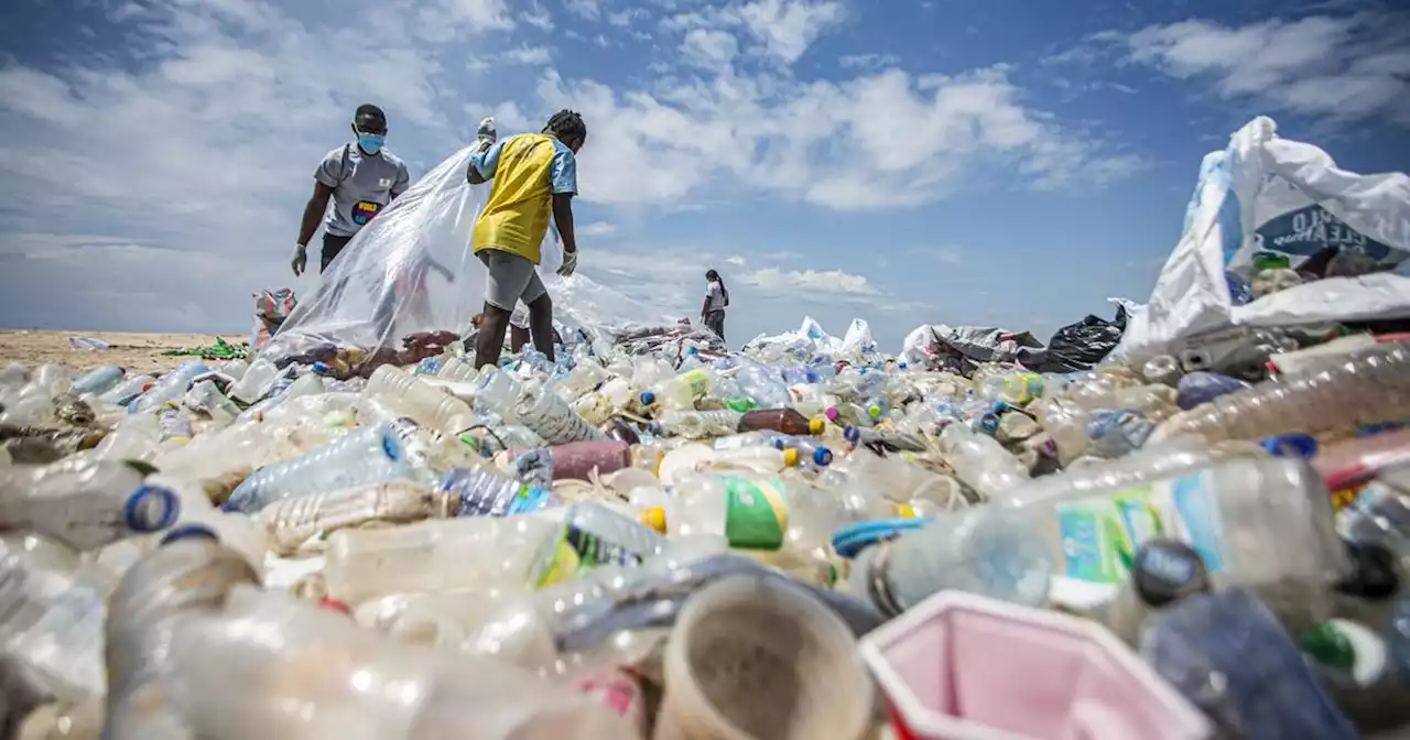 World Cleanup Day 2022 im Saarland: Auch der Saarpfalz-Kreis räumt kräftig auf