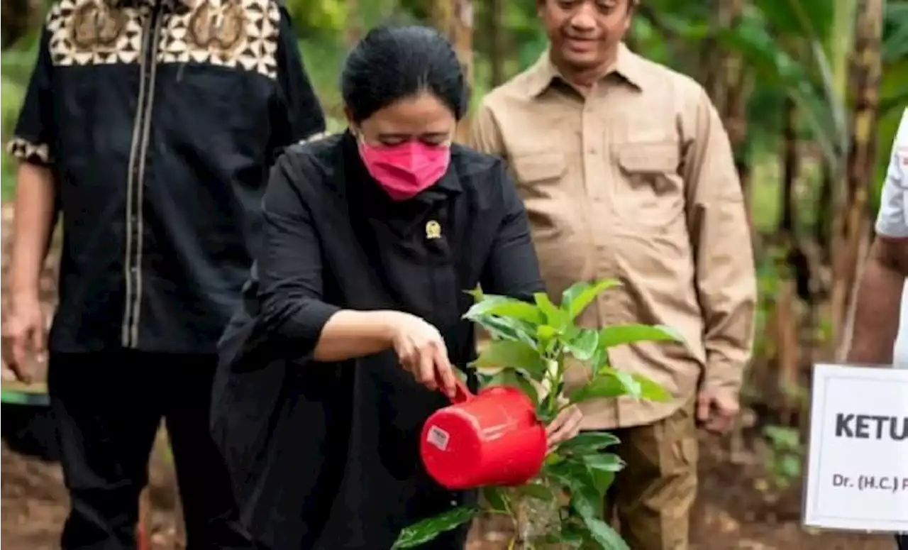 MKD DPR Pertanyakan Pasal yang Dilanggar dalam Perayaan Ulang Tahun Puan Maharani