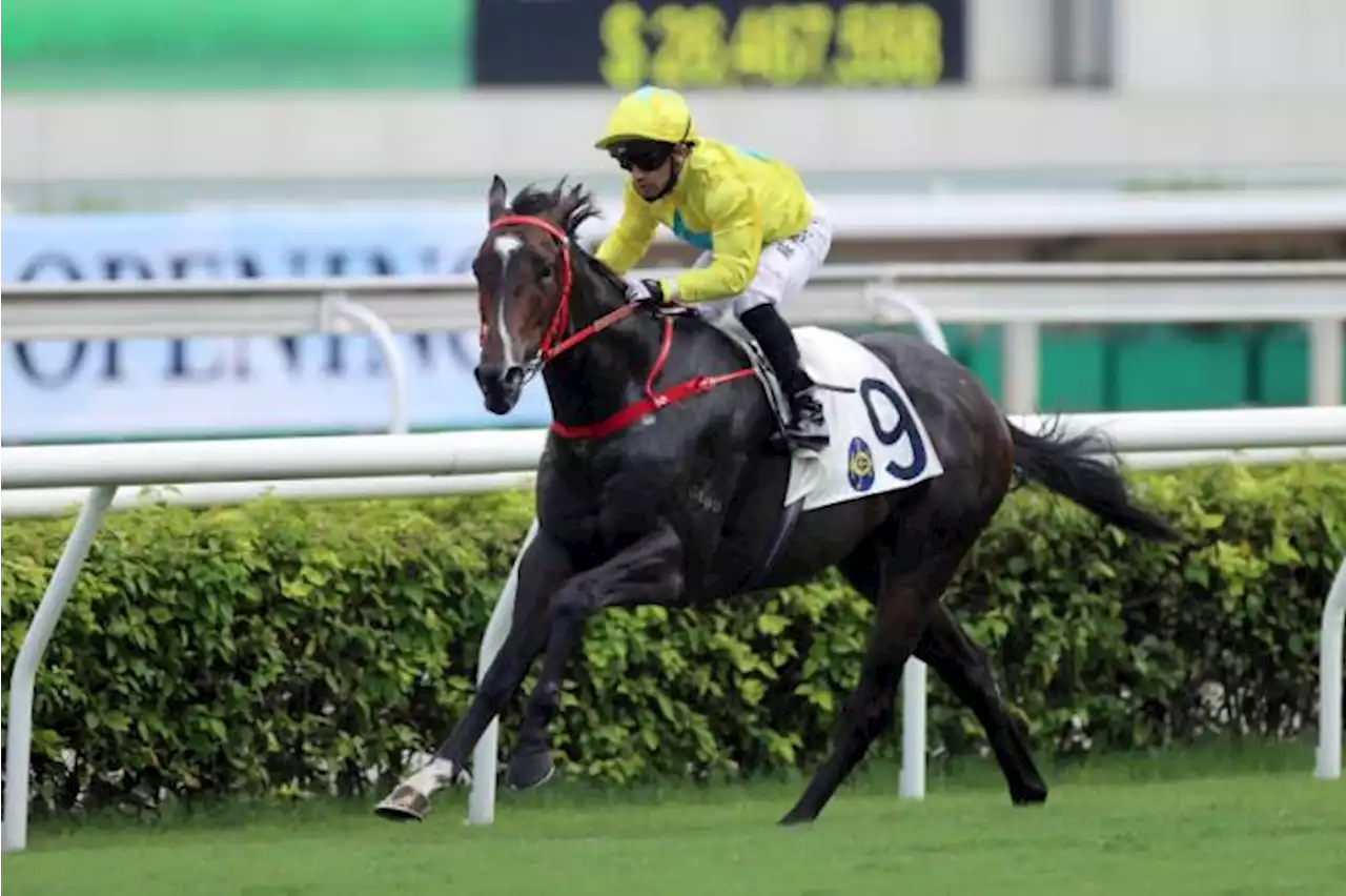 De Sousa signals return to HK on Lucky Sweynesse