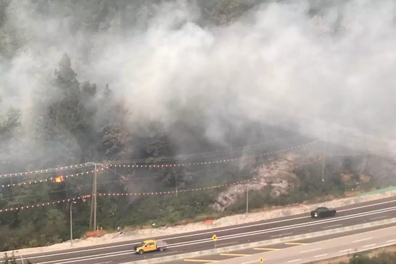 Wildfire smoke continues to blanket parts of B.C., improves slightly over Vancouver