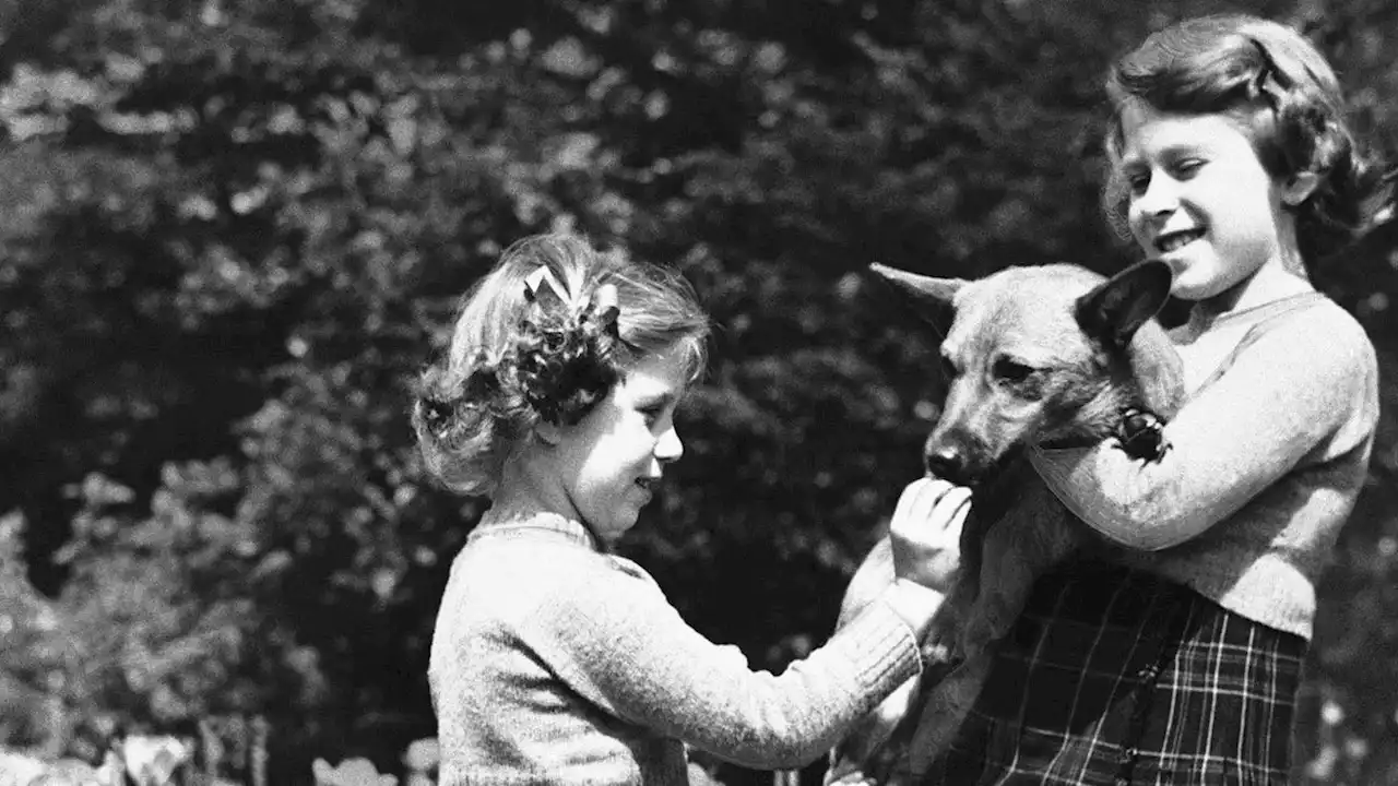 Queen Elizabeth had so many corgi dogs, Princess Diana reportedly called them 'a moving carpet'