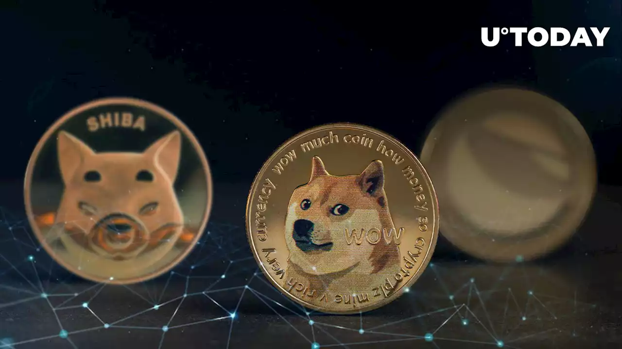 SHIB, DOGE, LUNC: Here's Who New Crypto Memeking Is