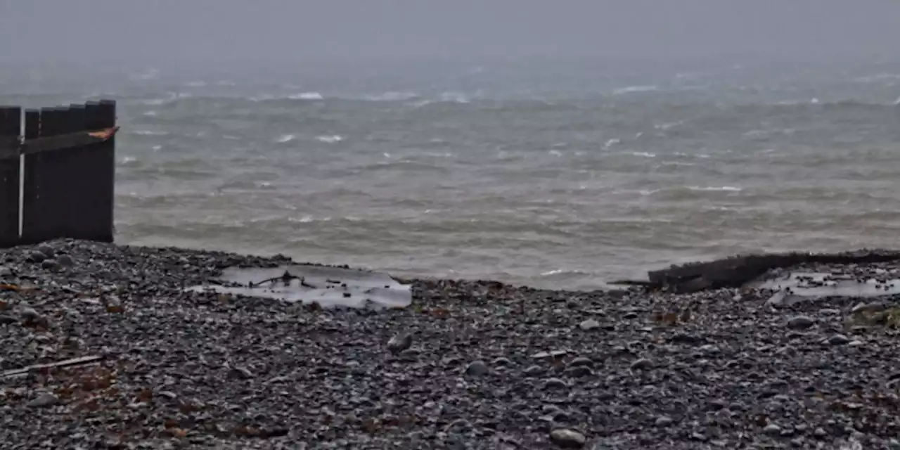 Complete “Devastation” in Trepassey Following Damage From Earl, says Area MHA