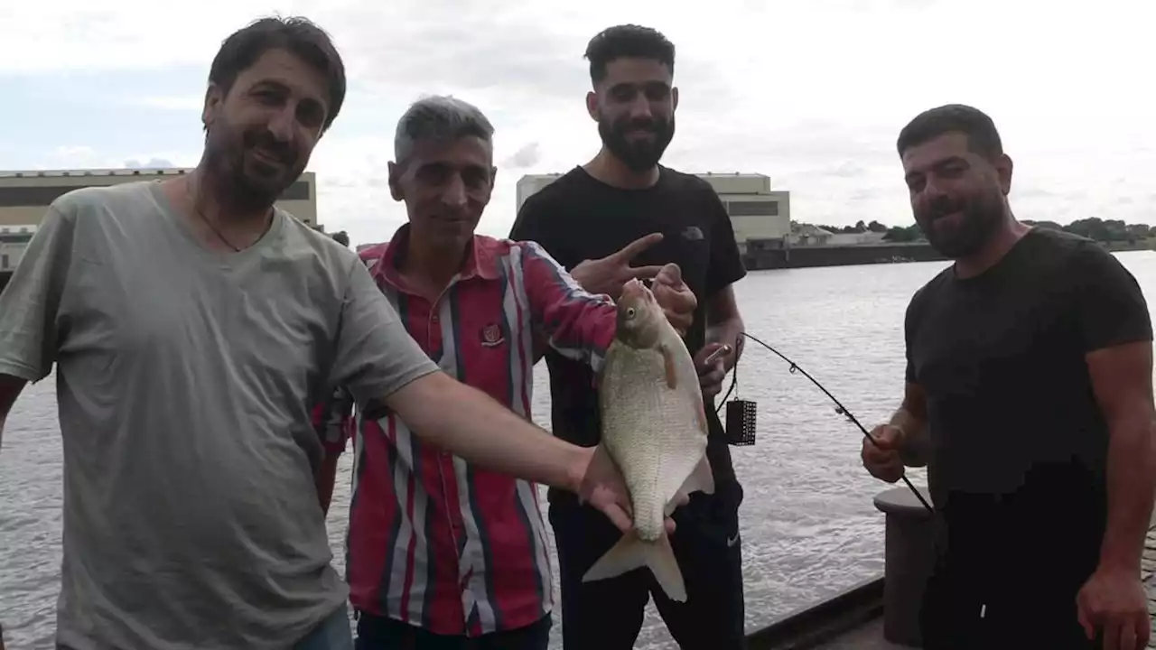 angler können an lesum und weser in ruhe den tag hinter sich lassen