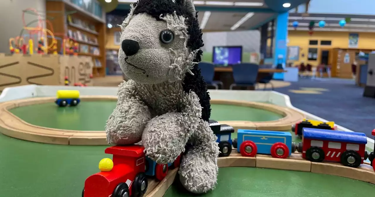 Westlake Public Library turns to community to write second act for stuffed zebra