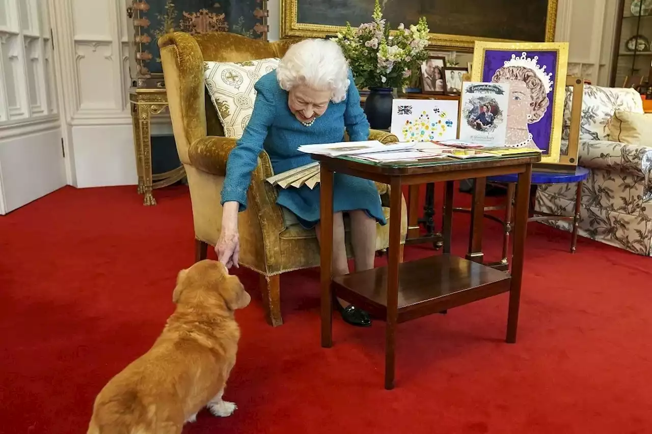 Queen’s corgis will be looked after by Duchess and Duke of York, Sarah and Andrew