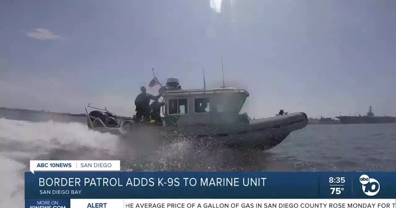 San Diego Border Patrol adds K-9s to Marine Unit