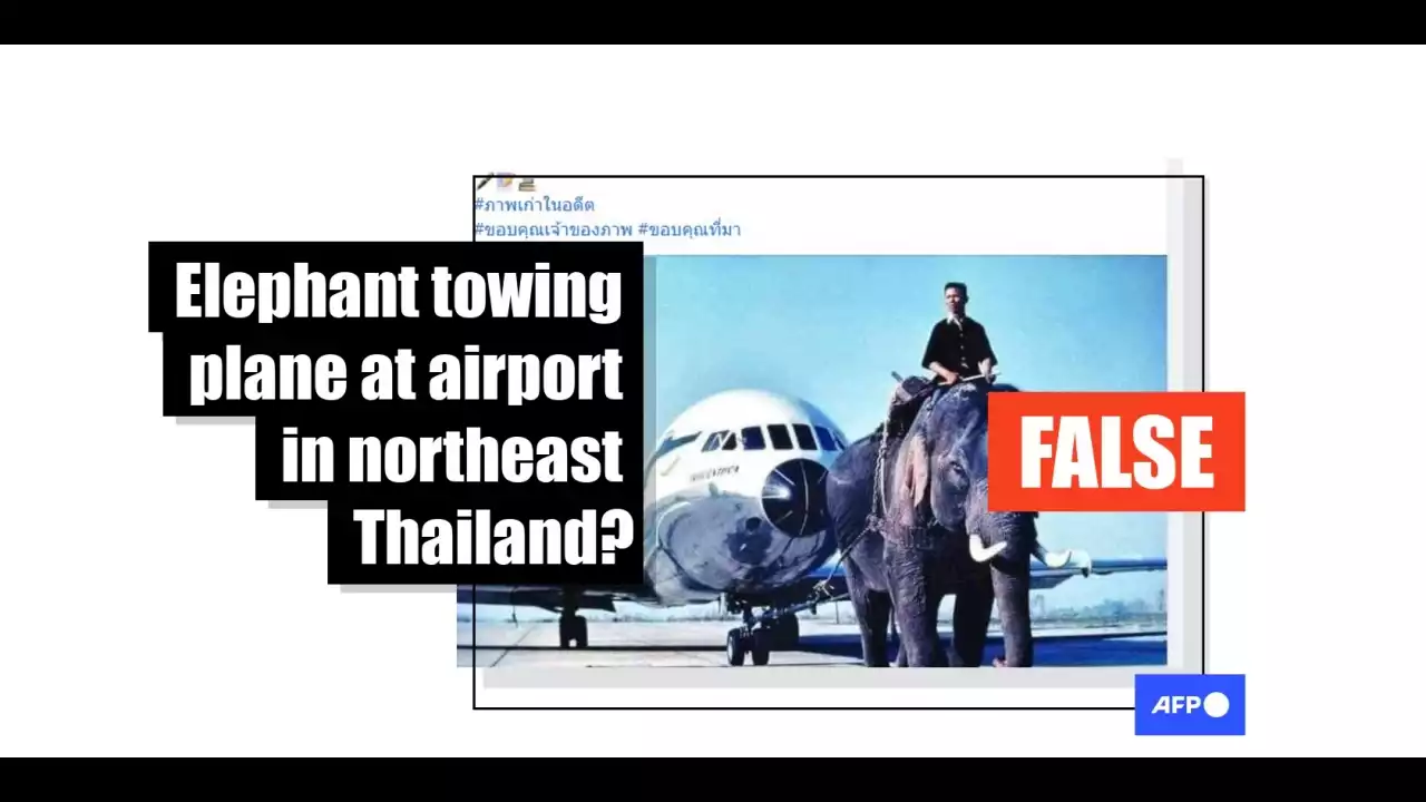 Photo shows Thai Airways advert from 1968 -- not 'elephant towing plane at Thai airport'