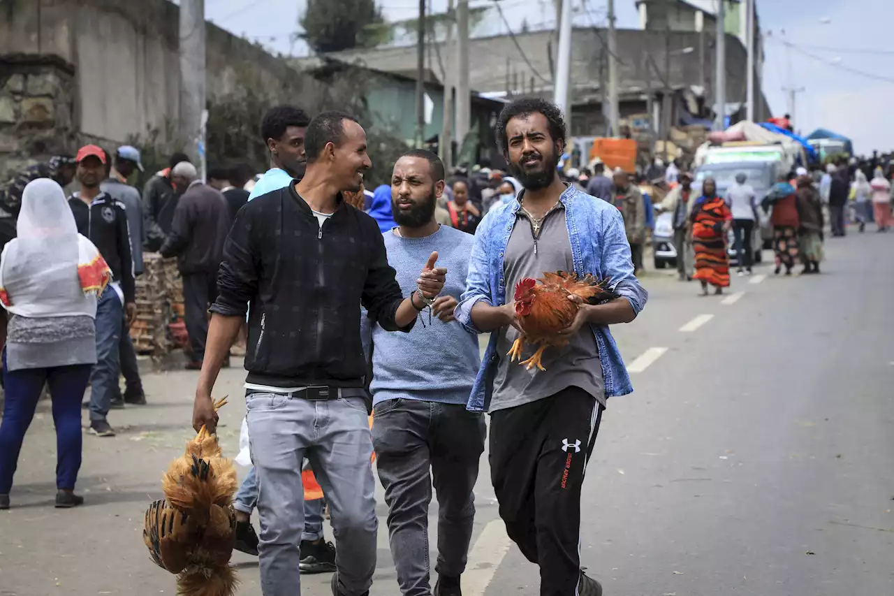 Ethiopia's economy struggles as war reignites in Tigray