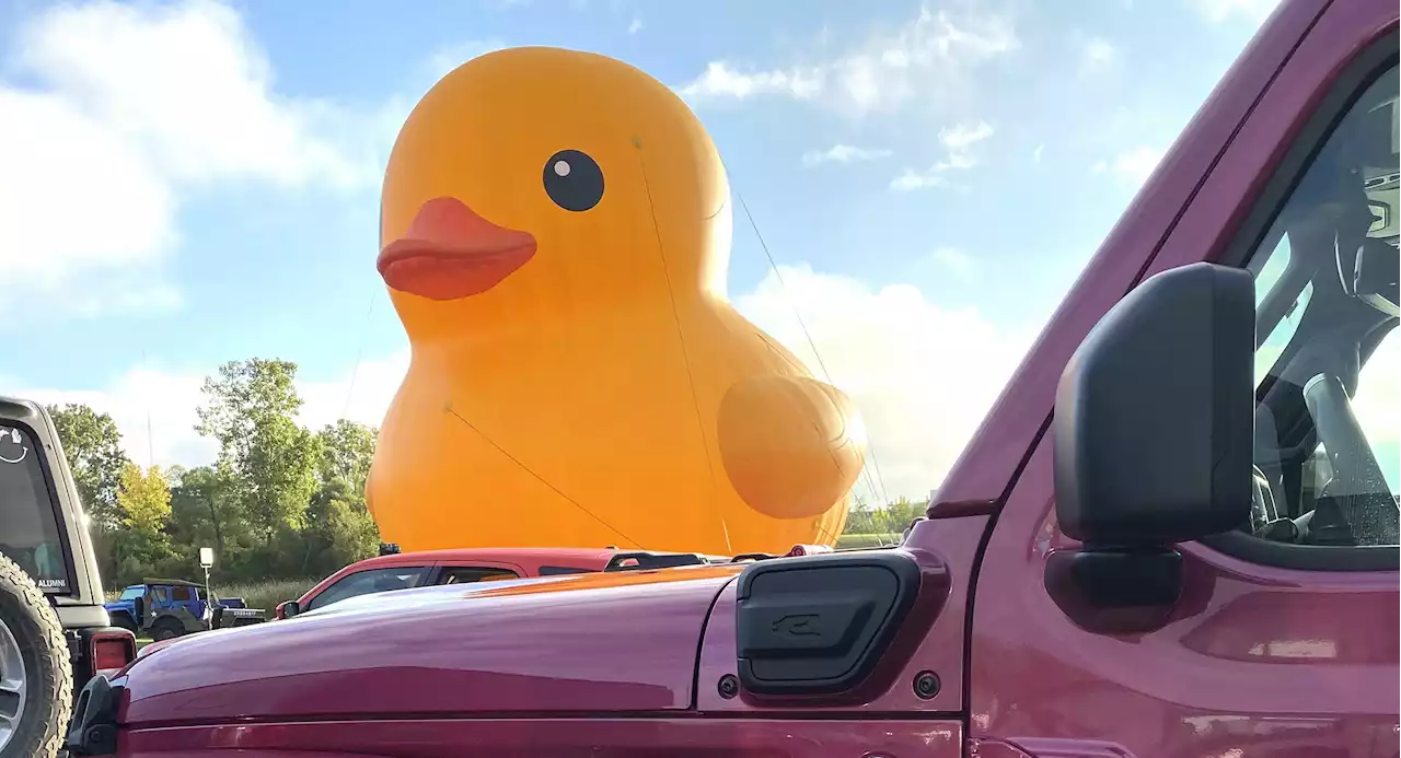 Ducking Huge! Jeep Bringing The World's Largest Rubber Duck To Detroit Auto Show | Carscoops