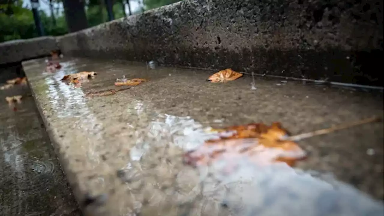 Rainfall warnings say up to 75 mm of rain expected | CBC News