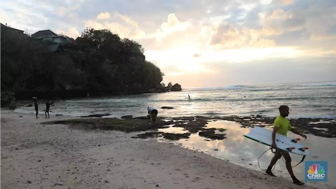 Pesaing Baru Cari Driver di Bali, Grab-Gojek Bisa Tumbang?