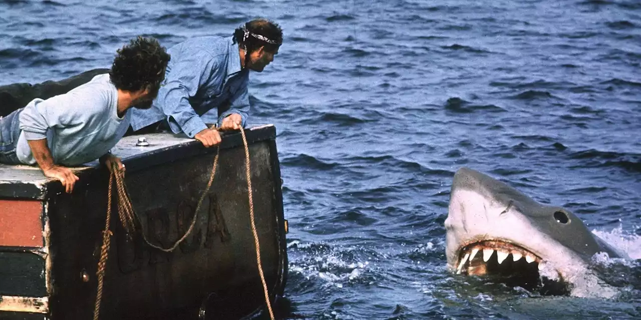 The Real-Life Drama That Almost Prevented Steven Spielberg's 'Jaws' From Being Made