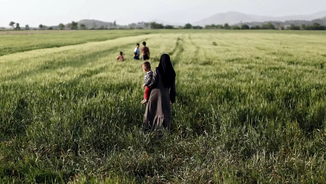 Kindern droht auf der Balkanroute offenbar massiv Gewalt und Missbrauch