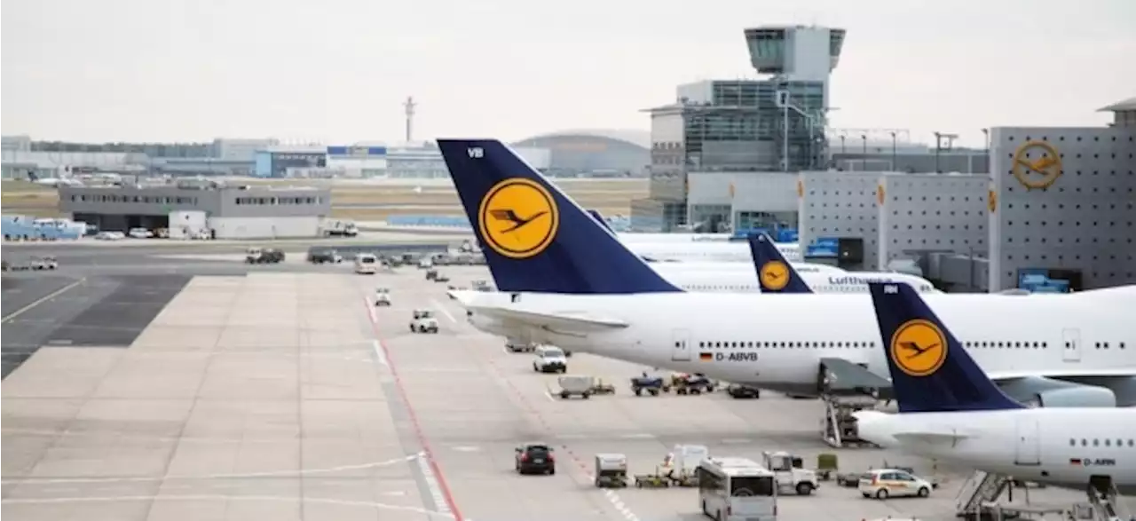 Lufthansa-Aktie in Grün: Lufthansa-Chef Spohr erwartet steigende Flugpreise