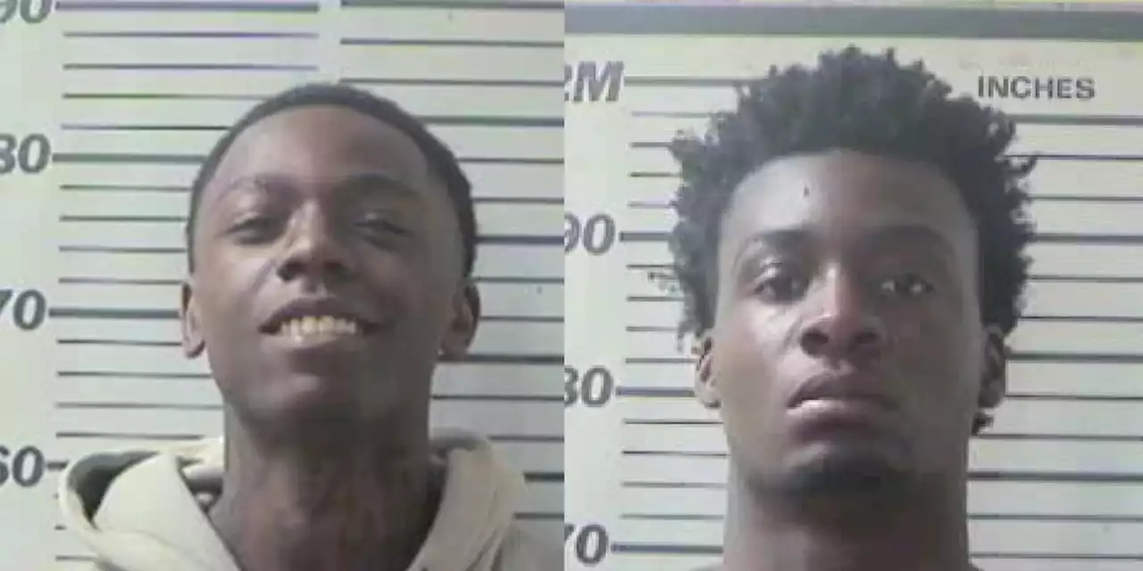 Mobile PD: Two arrested after disturbance at Williamson High School