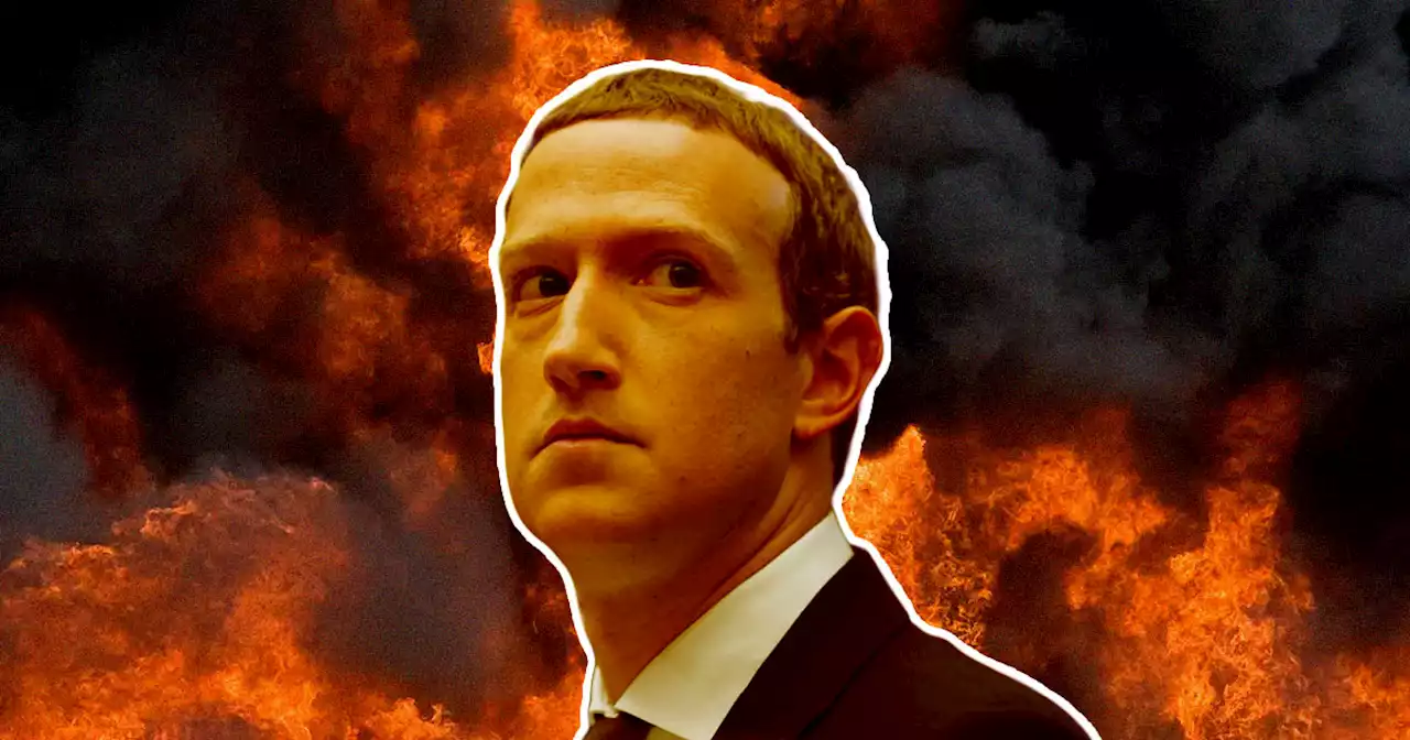 Harvard Expert Says Mark Zuckerberg Is Destroying Facebook