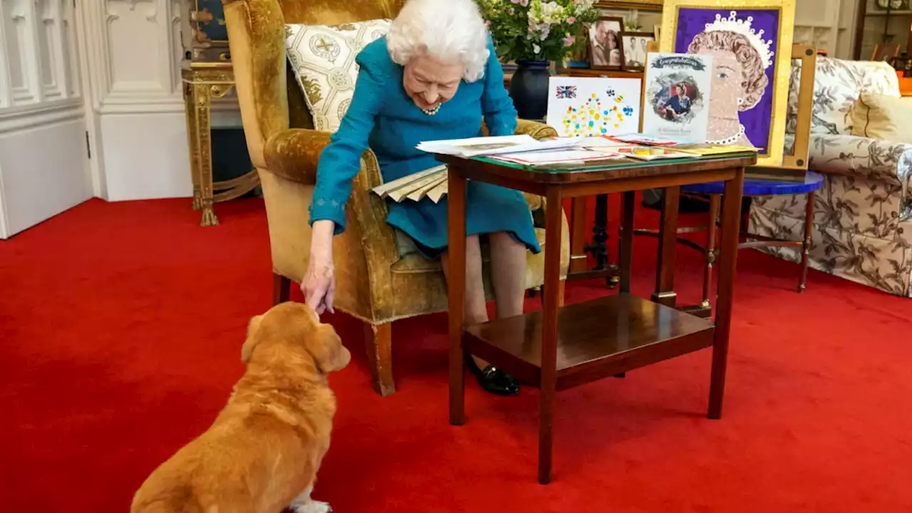 Queen Elizabeth Had At Least 30 Corgis, And Many Descended From Her First, Susan