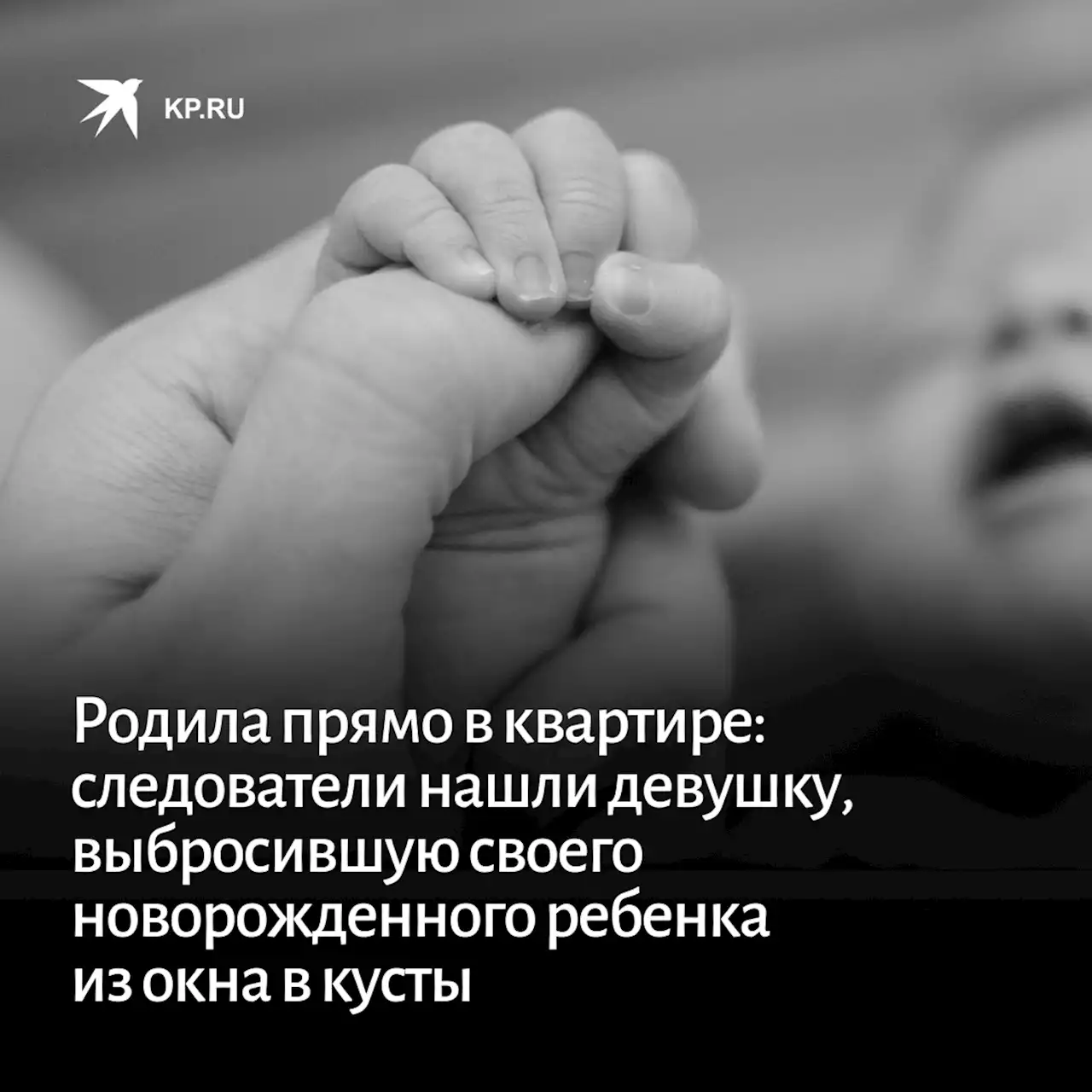 Родила прямо в квартире: Следователи отыскали нижегородку, выбросившую своего новорожденного ребенка из окна в кусты