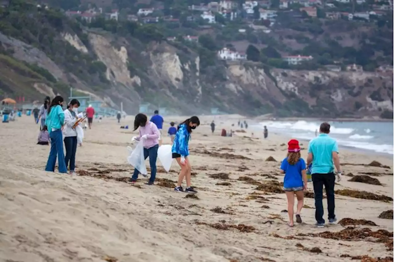 38th annual California Coastal Cleanup Day is this weekend