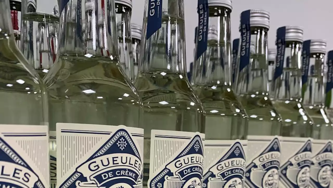 Toulouse : ils lancent leur marque de liqueur de menthe