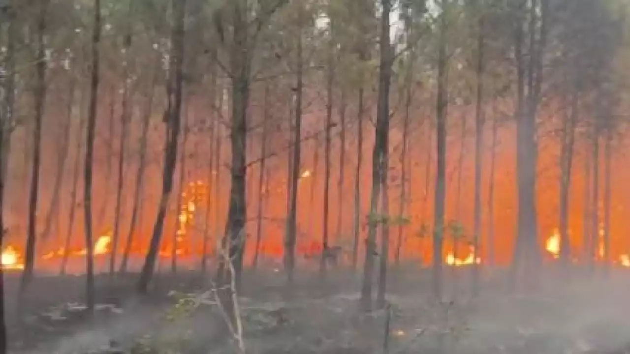 Un nouvel incendie en Gironde, 1 300 hectares brûlés