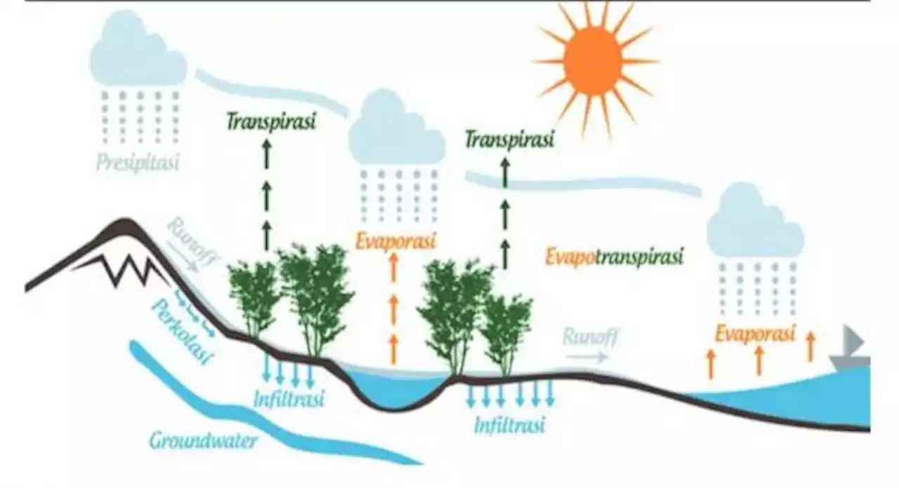 Proses Siklus Hidrologi, Proses dan Jenis Siklus Air