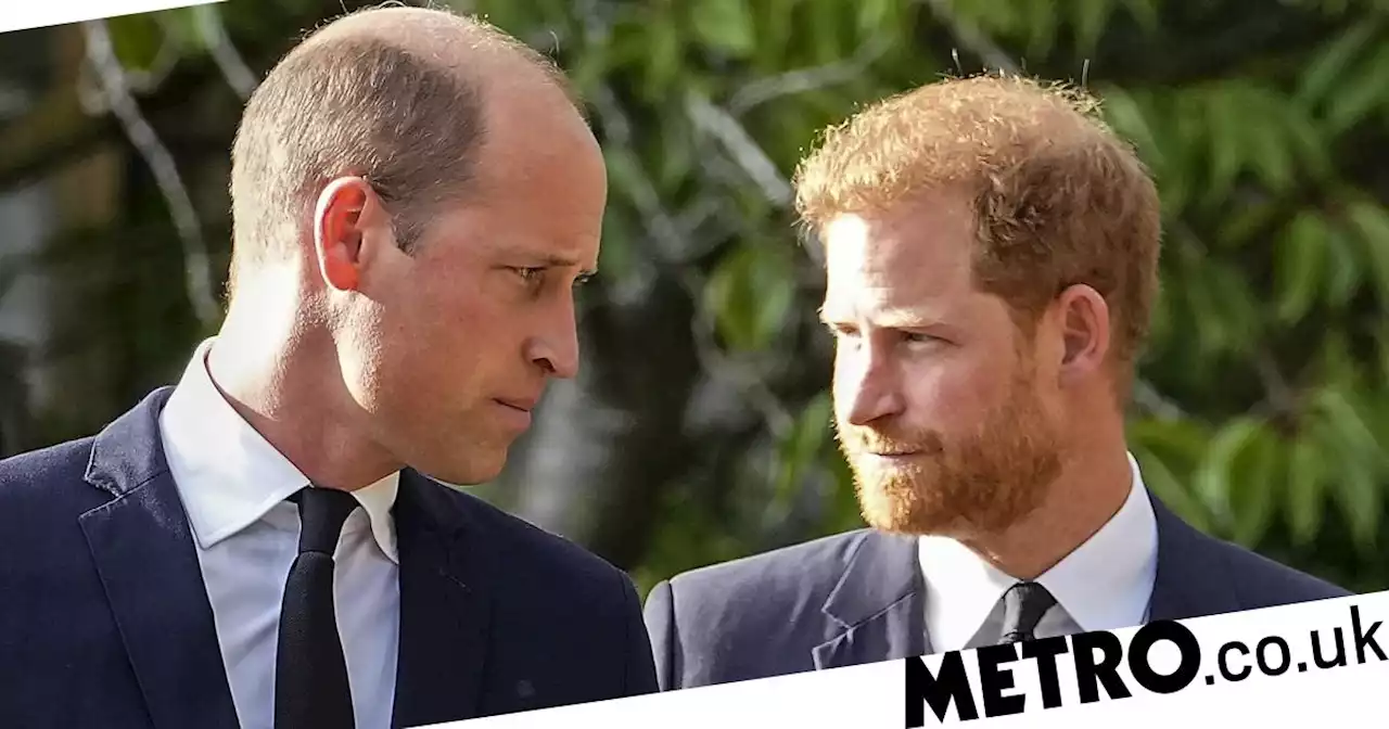 Harry 'ate separately from Charles and William on night of Queen's death'