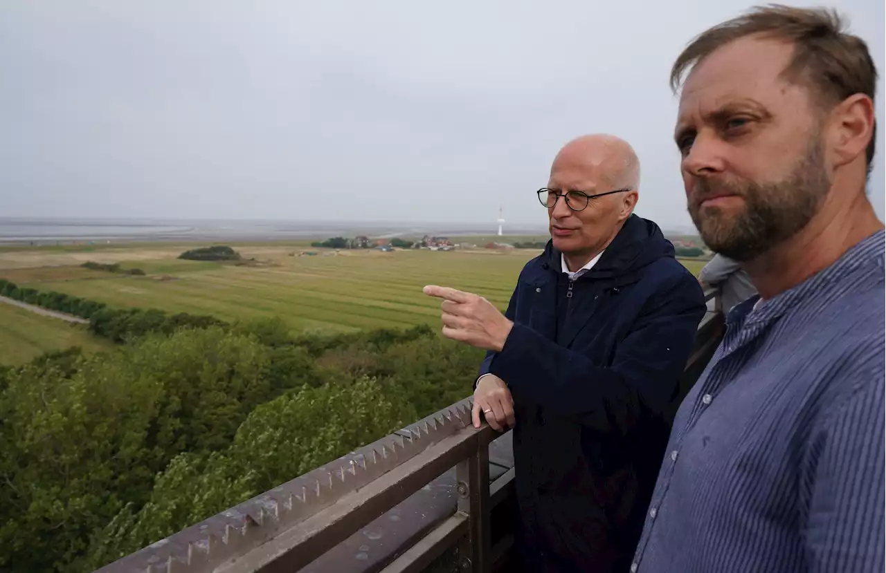 Leuchtturm, Schifffahrt, Wohnungen: Tschentschers Pläne für Hamburgs Insel