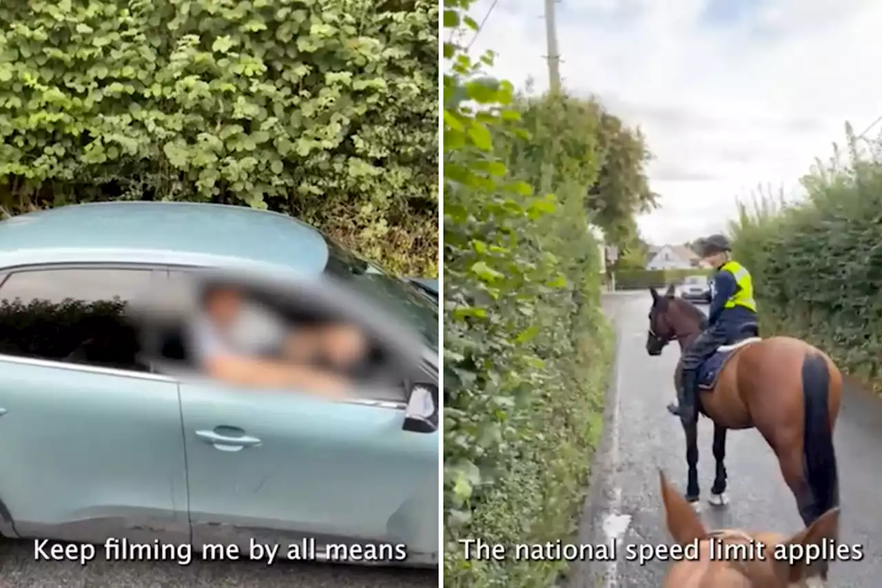 Angry driver calls horse rider ‘middle class t—t’ for allegedly blocking road