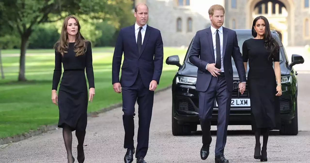 Behind the scenes from Harry and Meghan's walkabout with Kate and William