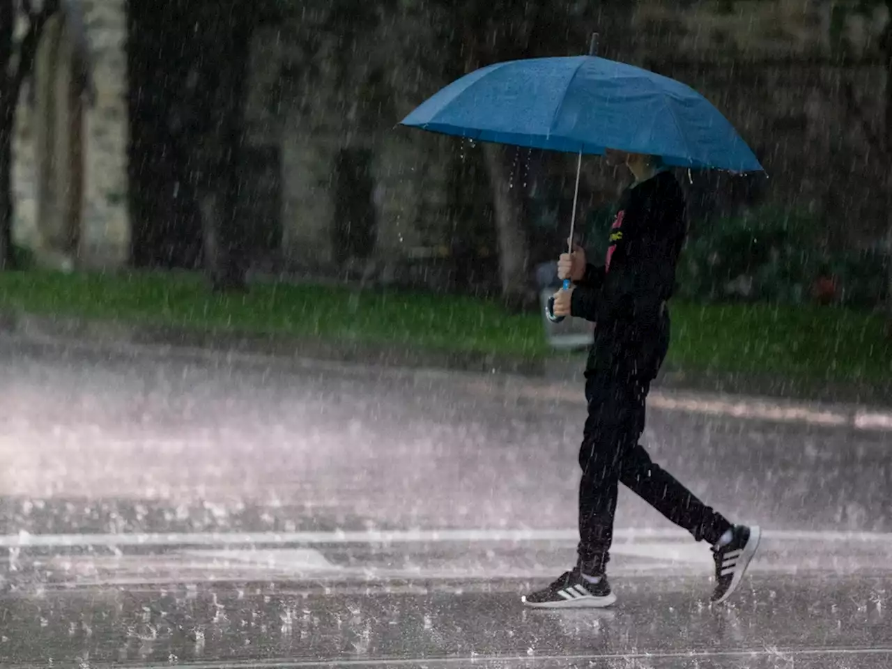 RAINFALL WARNING: Parts of Ottawa affected