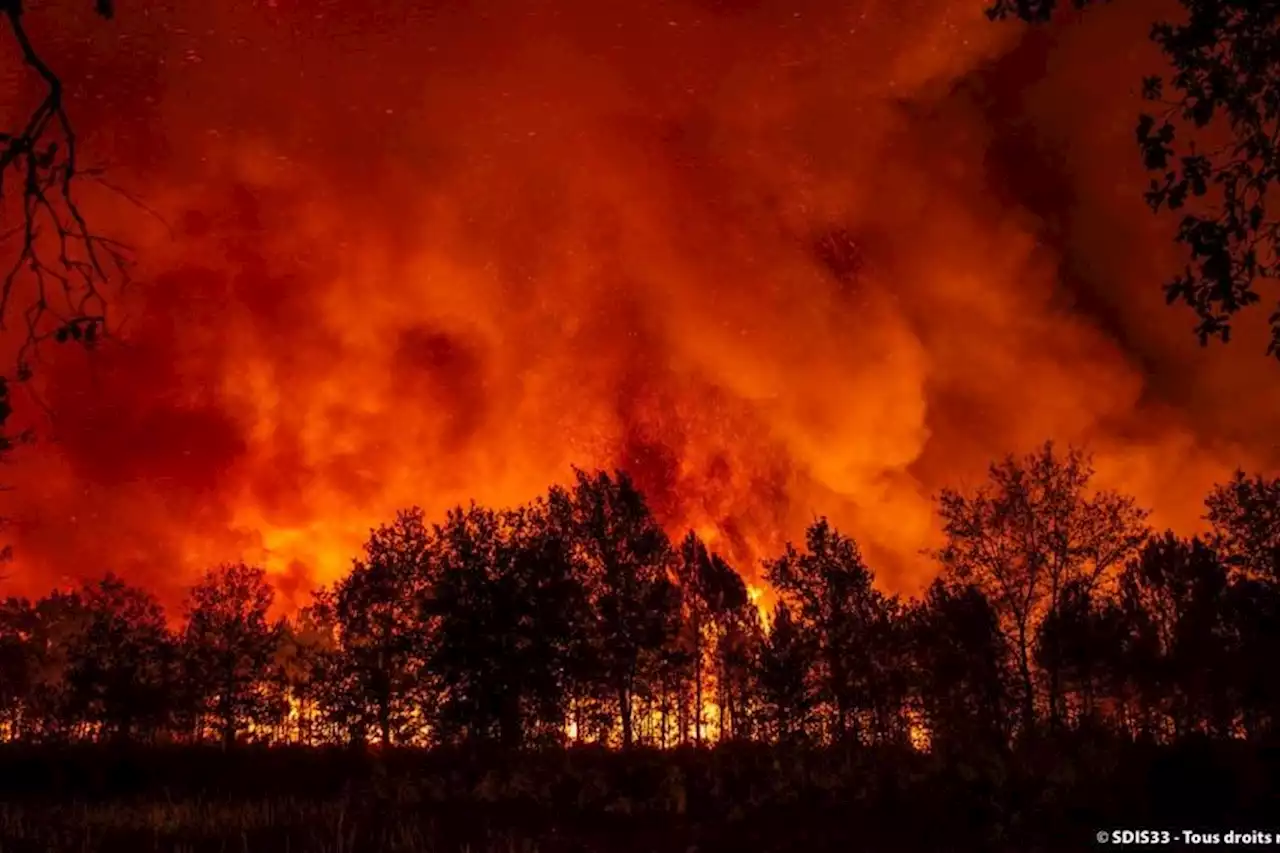 Incendie en Gironde : déjà 1.300 hectares ravagés, 540 personnes évacuées près de Lacanau