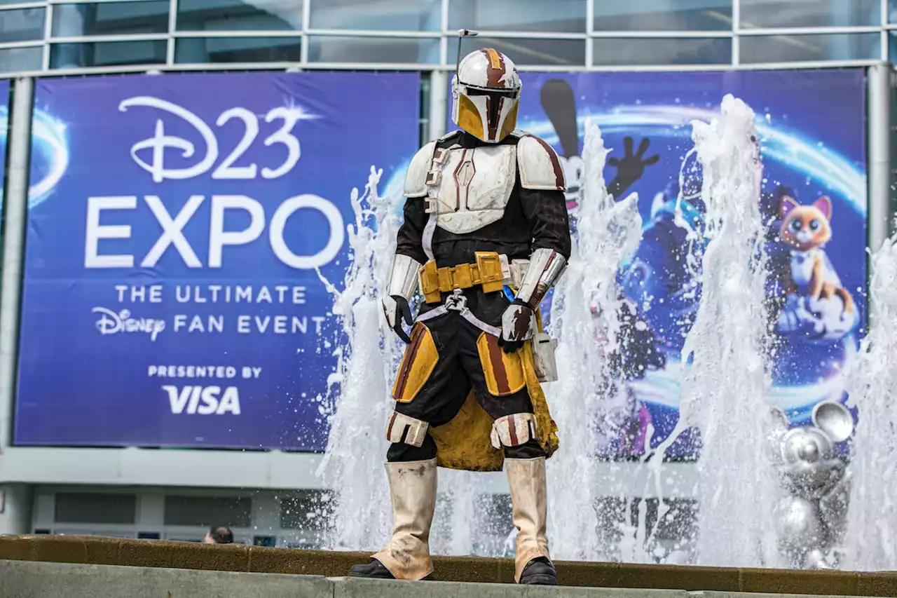 All The Most Exciting News About Disney World And Disneyland From The D23 Expo