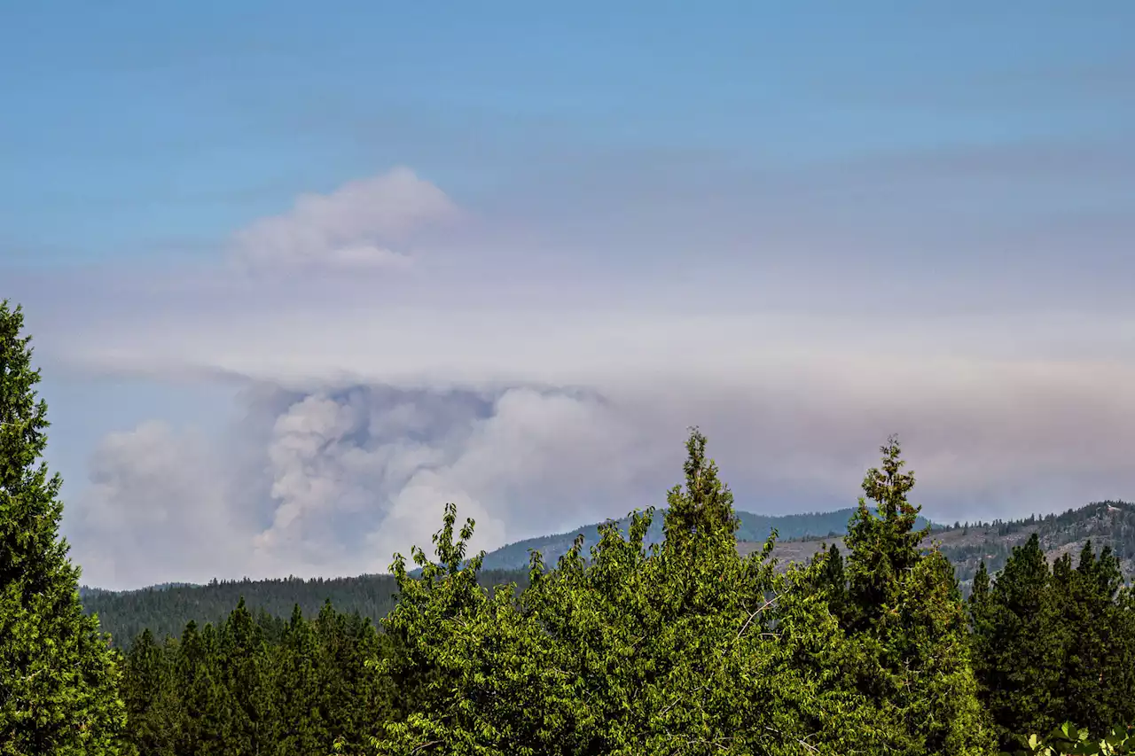 Mosquito Fire shutters parts of Tahoe National Forest until the end of 2022