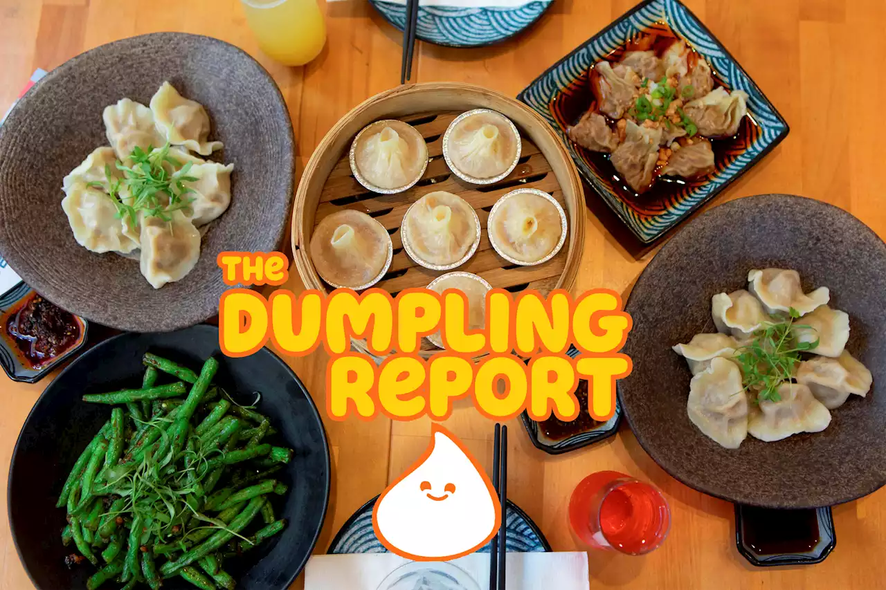 SF's hot new dumpling darling uses mac 'n' cheese, bulgogi fillings