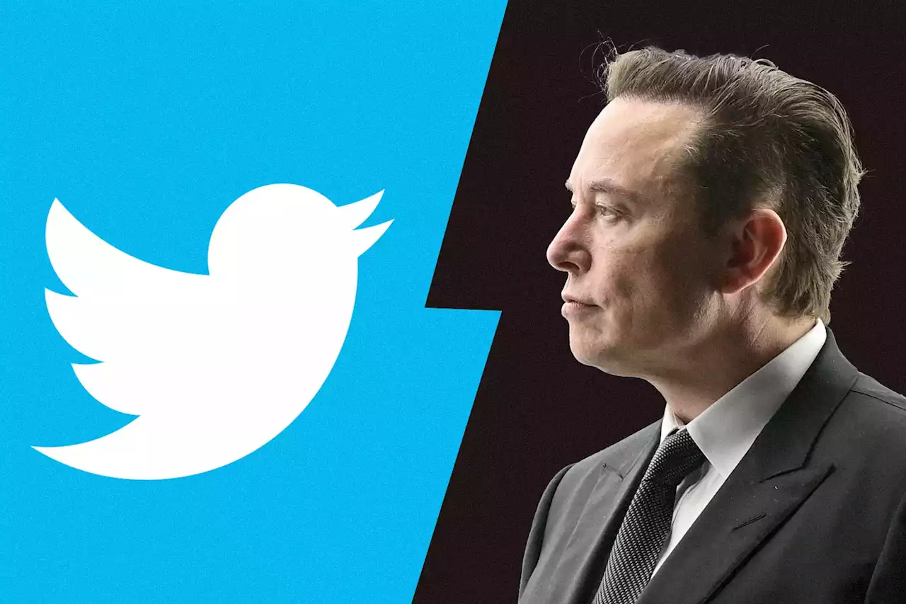 The Case for Rooting for Elon Musk to Beat Twitter