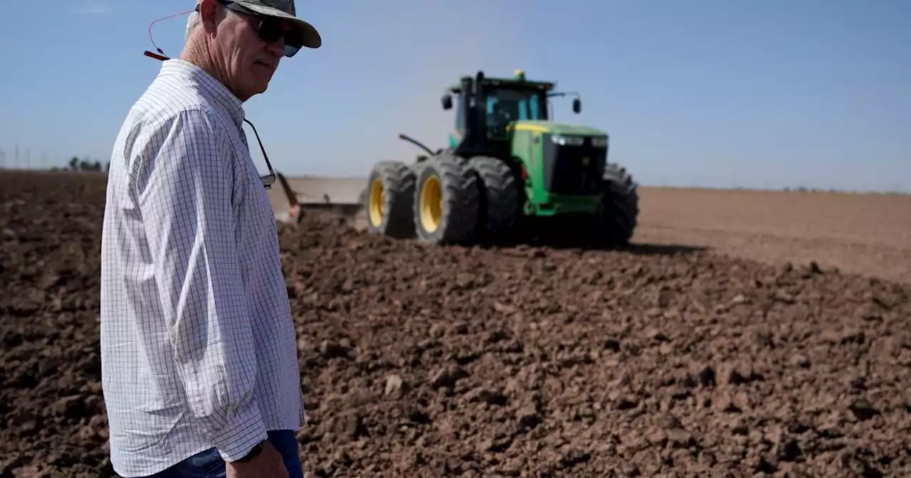 Stressed Colorado River keeps California desert farms alive