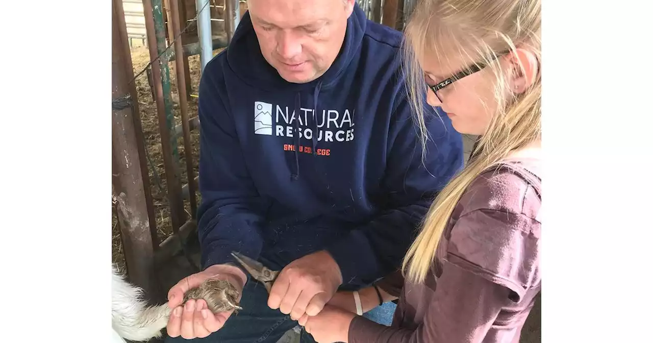 Utah’s new teacher of the year believes in hands-on learning —from digging in dirt to trimming goat hooves